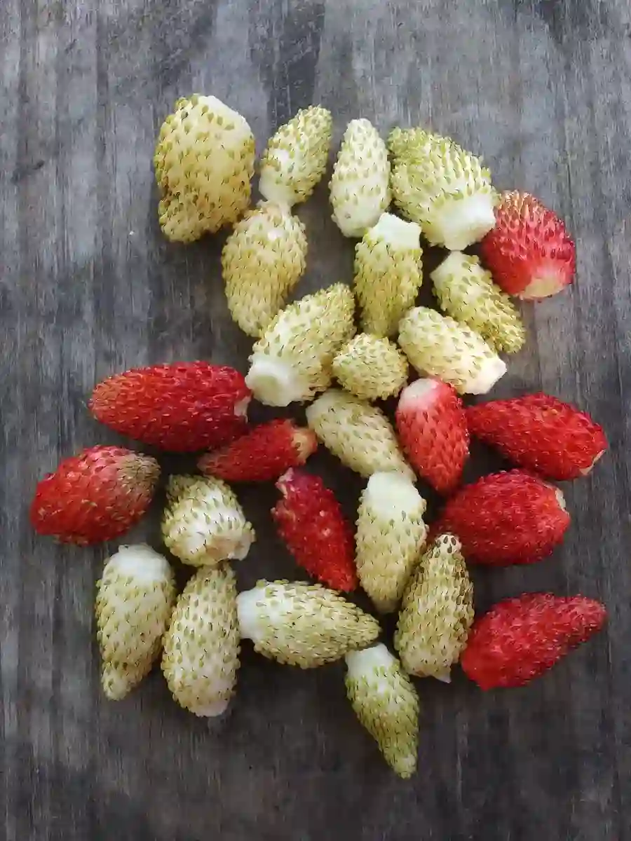 alpine strawberries