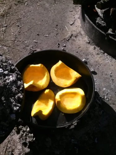 cooking pumpkin quarters in dutch oven