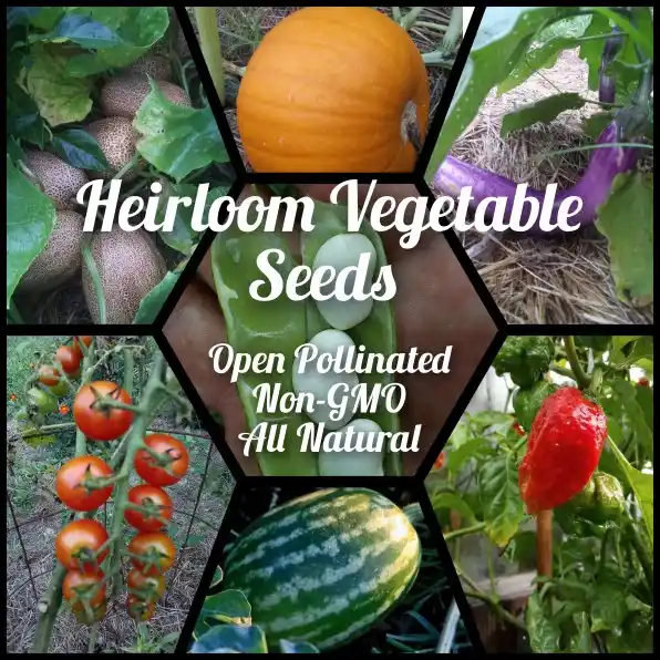 Heirloom Vegetable Seeds