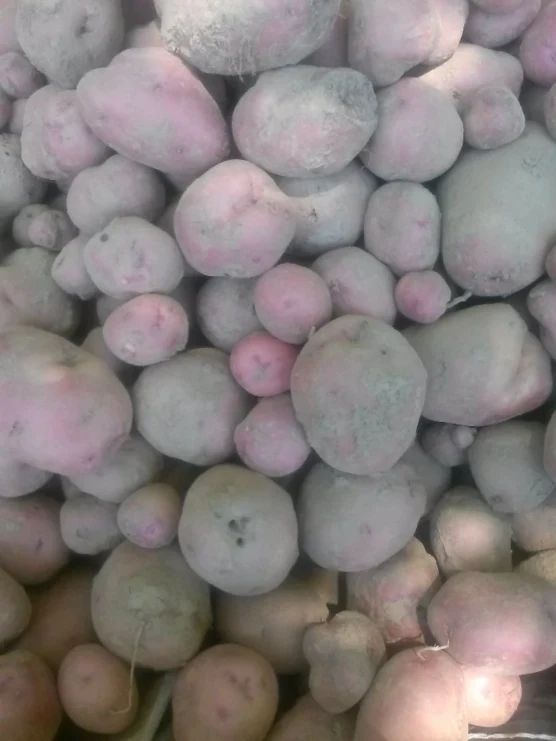 potatoes
