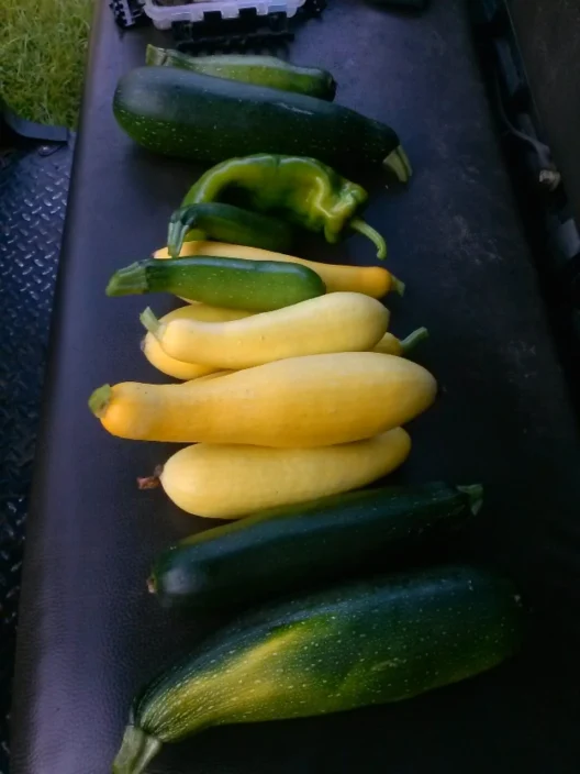 squash