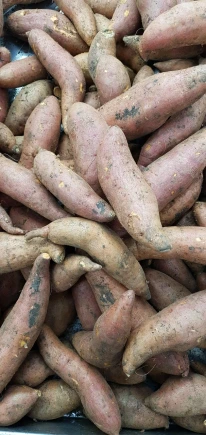 sweet potatoes